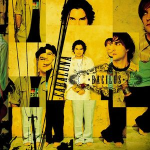 无码国精品一区二区在线播放
