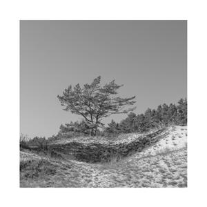 无码国精品一区二区在线播放
